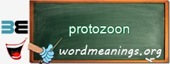 WordMeaning blackboard for protozoon